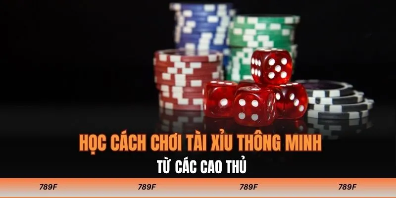 Học cách chơi tài xỉu thông minh từ các cao thủ