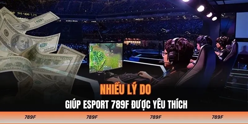 Nhiều lý do giúp Esport 789F được yêu thích